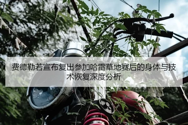 费德勒若宣布复出参加哈雷草地赛后的身体与技术恢复深度分析